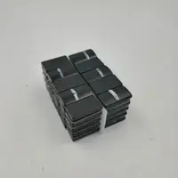 Rotor Magnet