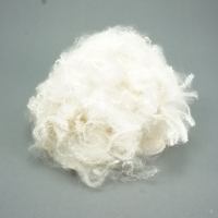 Polyester Staple Fiber (PSF)