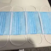 3 Ply Masks