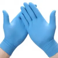 Nitrile Gloves