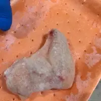 Chicken Wing