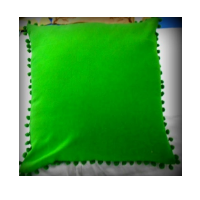 Cushion