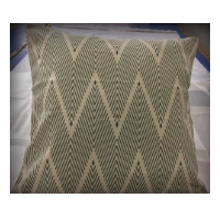 Cushion