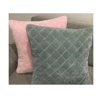 Cushion