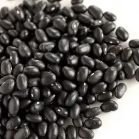 Black Beans