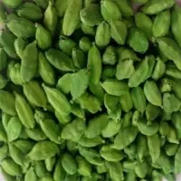 Best Quality Green Cardamom