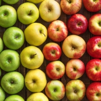 Fresh Apple Fruit