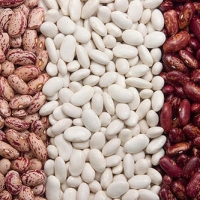 Quality Kidney Beans