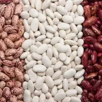 Quality Kidney Beans