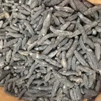 Quality Dry Sea Cucumber