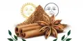 Eranya Exporters And Spices Merchants logo