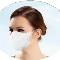 N95 (Disposable Protective Mask)