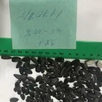 Sunflower Seed Grade AAA