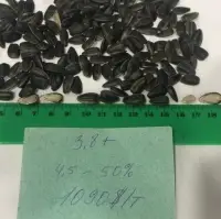 Sunflower Seed 38mm Grade AA