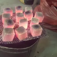 Coconut Briquette