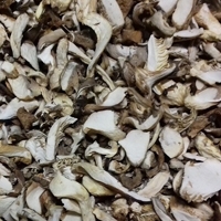 Dried Pleurotus, Oyster Mushroom
