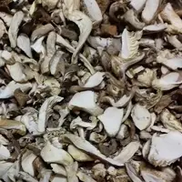Dried Pleurotus, Oyster Mushroom