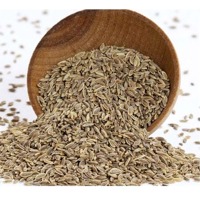 Dill Seeds