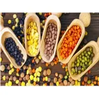Pulses