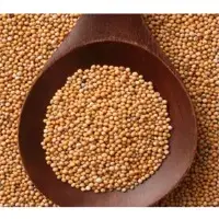 Mustard Seeds