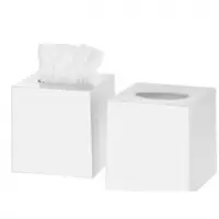 Facial Tissue Boutique (Cube)