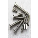 Slotted Csk Screw