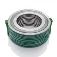 CGI Gasket
