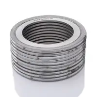 GI Gasket