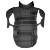 Upper Body & Shoulder Protection
