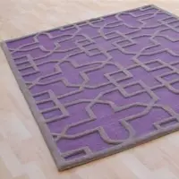 Hand Tufted Rug