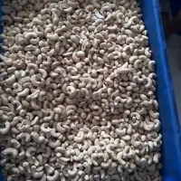 Cashew Kernel