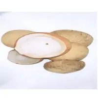 White Copra And Edible Copra