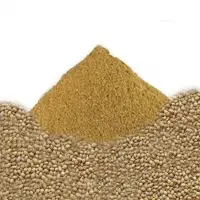 Coriander Powder