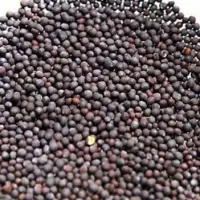Black Mustard Seeds