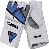 MMA Gloves Grappling Martial Arts Punching Bag
