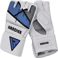 MMA Gloves Grappling Martial Arts Punching Bag