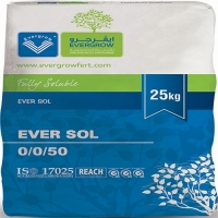 Ever Sol