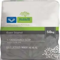 Ever Stand