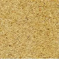 Yellow millet