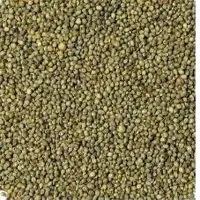 Green millet