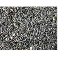 Sunflower seed