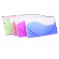 A4 Expanding File