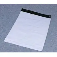 Polling Station Envelpe