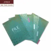 Tabbed Planner Dividers A4 Set Index