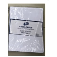 305x405mm Peel And Seal Envelope 100G