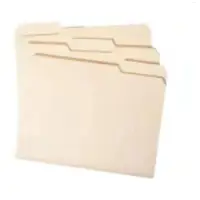 FC Manila File Folder 180g