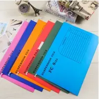 A4 Plastic Clear Tabs Suspension File Folders