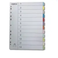 12 Pages 110g Paper Dividers