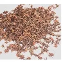 Star Aniseed With Stems