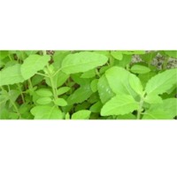 Natural herbs